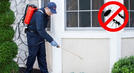 Kemalpaşa Uçan Haşere İlaçlama böcek ilaçlama ve haşere kontrolü — ilaclama-tr.com